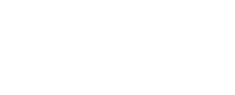 Logo IN SITU